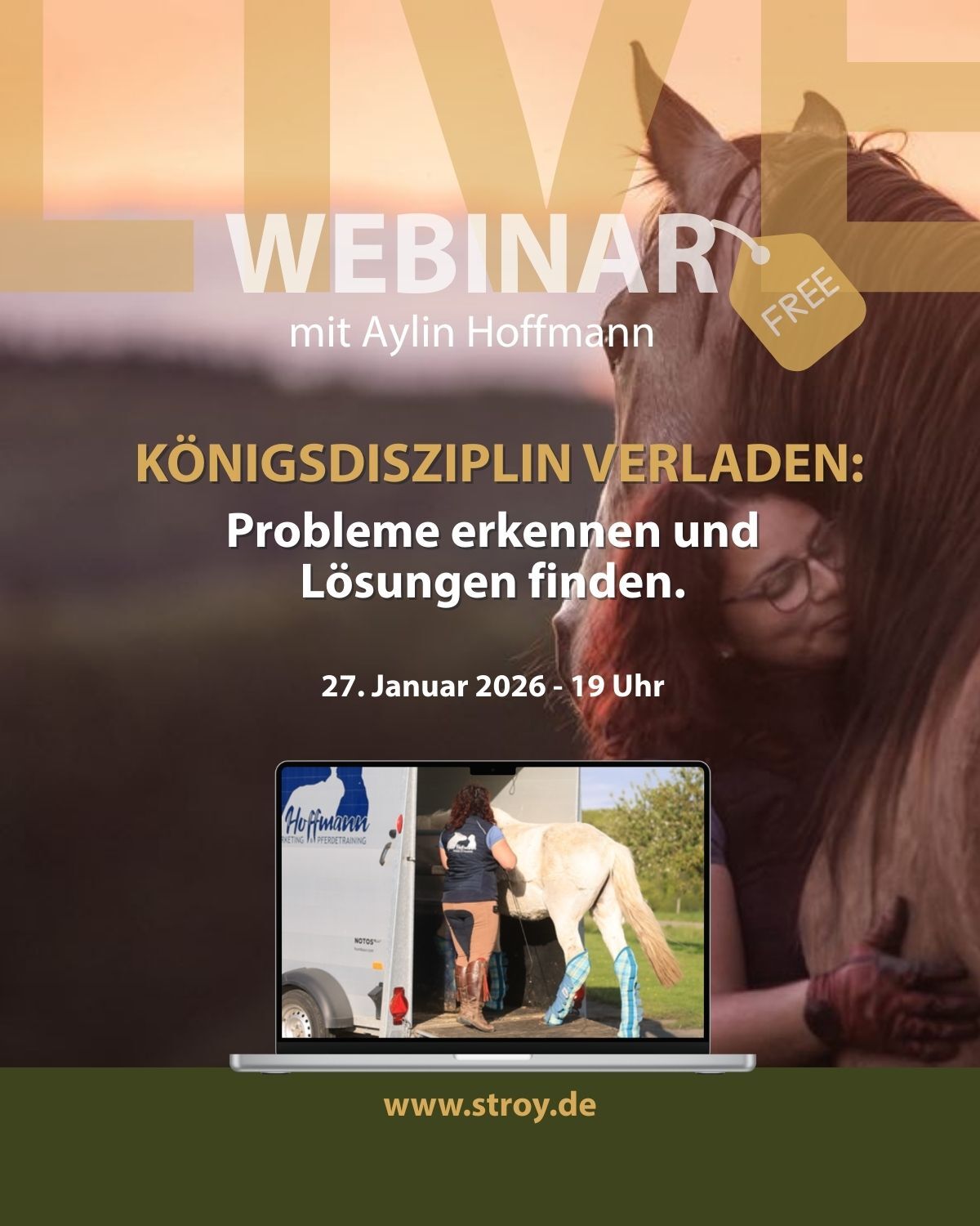 STROY Webinar Aylin Hoffmann